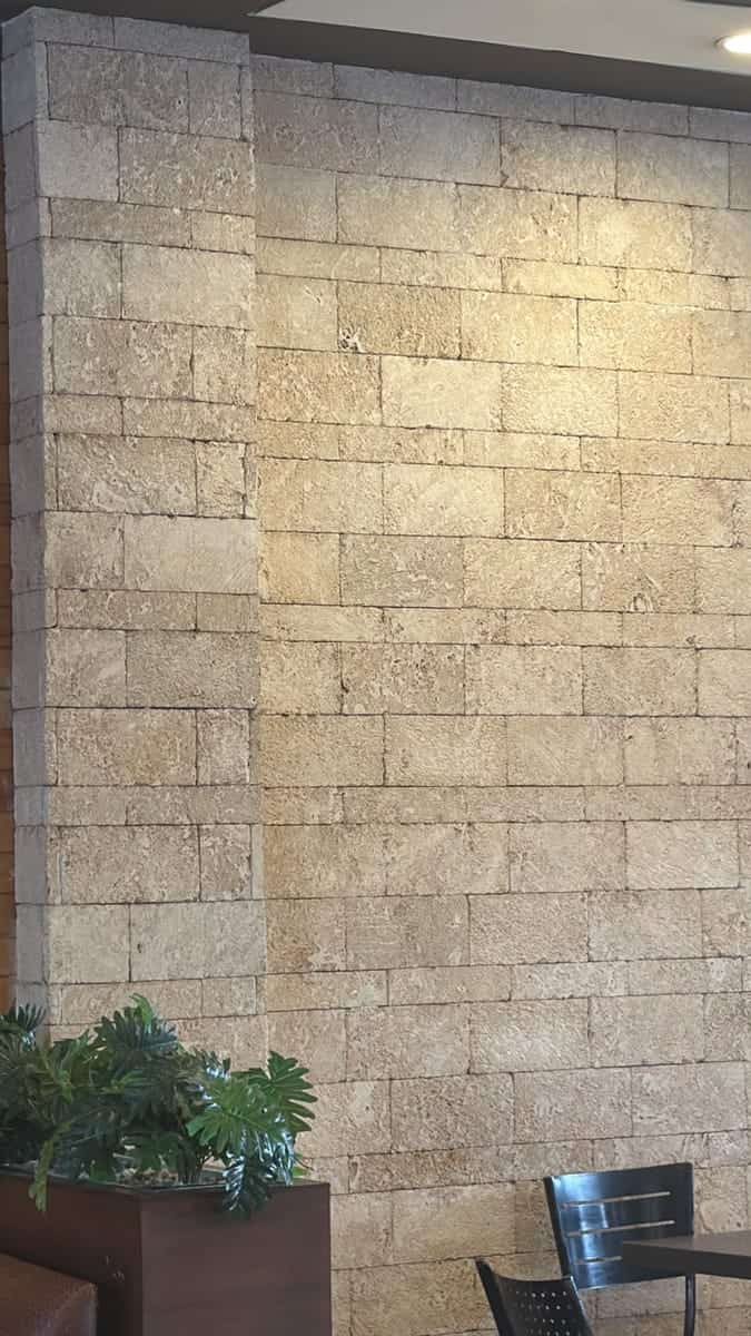 Coral stone cladding on an interior feature wall, cream blocks in a running bond with a plant in front